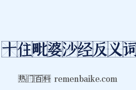 十住毗婆沙经反义词是什么意思的图片